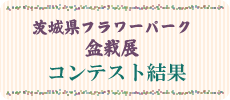 茨城県フラワーパーク盆栽展　コンテスト結果